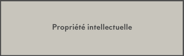 Propriété-intellectuelle